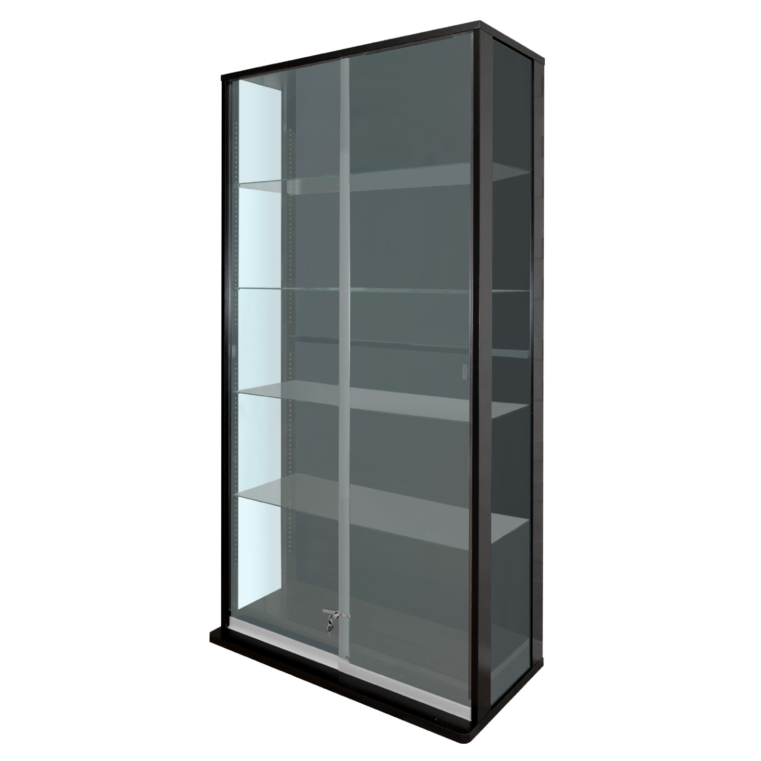 地球家具 爆買 引き戸コレクションケース スラリス SLALIS 本体 ハイ