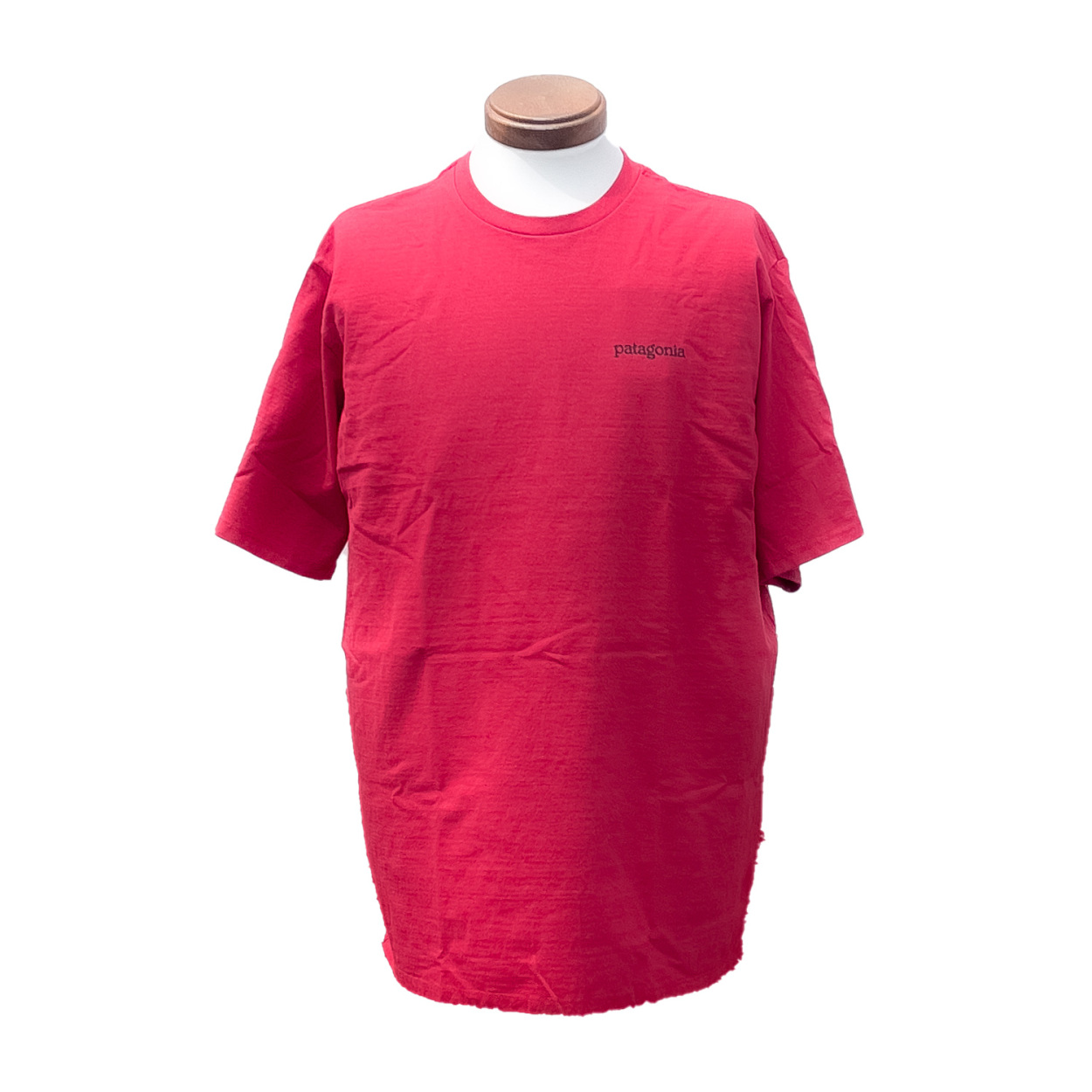 パタゴニア　シャツ 楽天市場】patagonia パタゴニア Tシャツ メンズ フィッツロイ