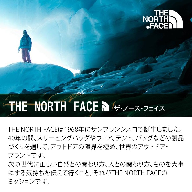 ノースフェイス マウンテンパーカー ゴアテックスTHE NORTH FACE