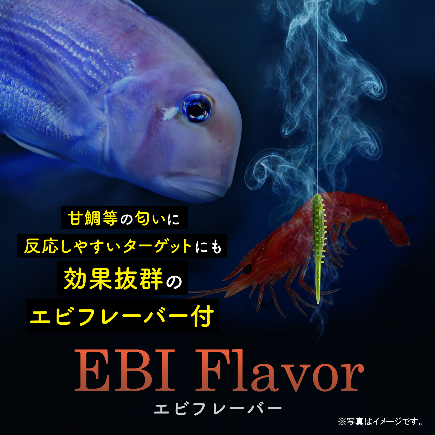 BAKSTORM タイラバ トレーラー バチコン 用 ワーム エビ匂い付 パクッ