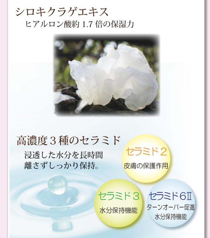 洗顔石鹸 オールインワンゲル