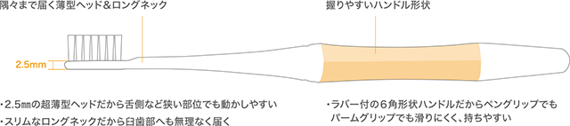 歯ブラシ全体図