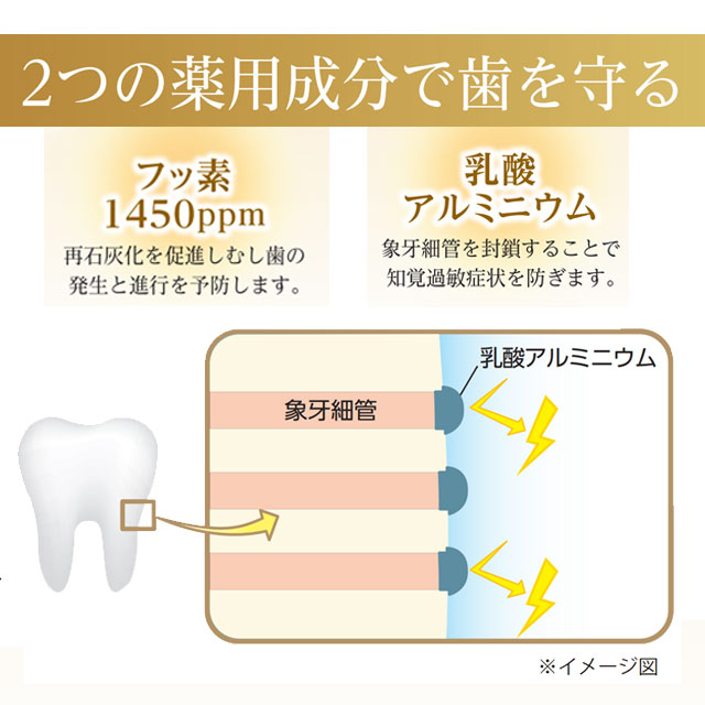 2つの薬用成分の説明画像