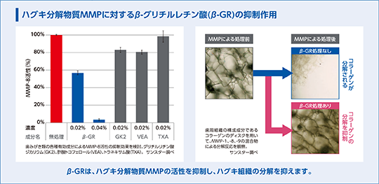 デンタルプラークとF.ｎ菌、Red Complexの関係図