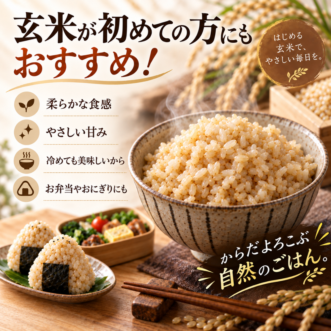 【数量限定】令和7年 佐賀産 夢しずく 玄米 10キロ 夢しずく 新米 特選玄米 10kg 5kg×2袋 佐賀県産 令和8年産 五つ星マイ