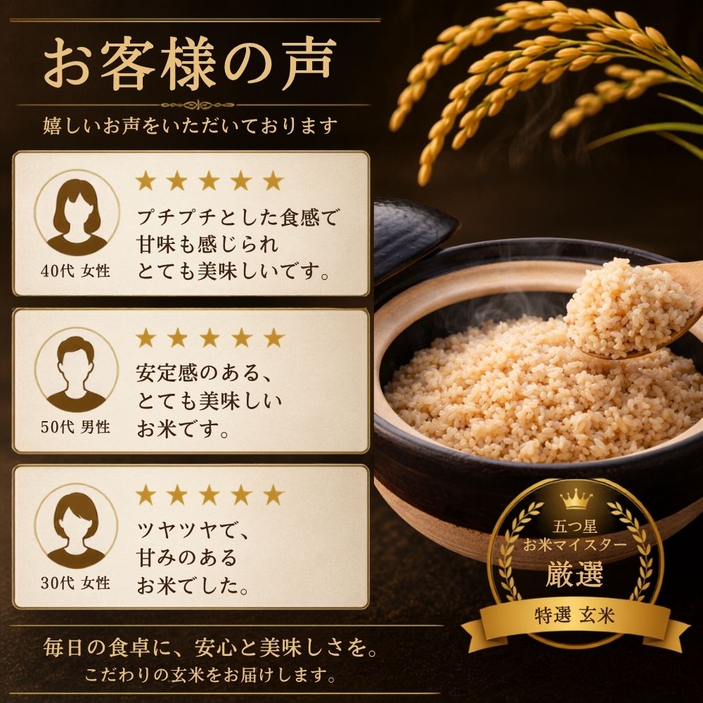 さがびより 特選 玄米 5kg 佐賀県産 令和7年産 特A評価 : 米匠-葉隠れ