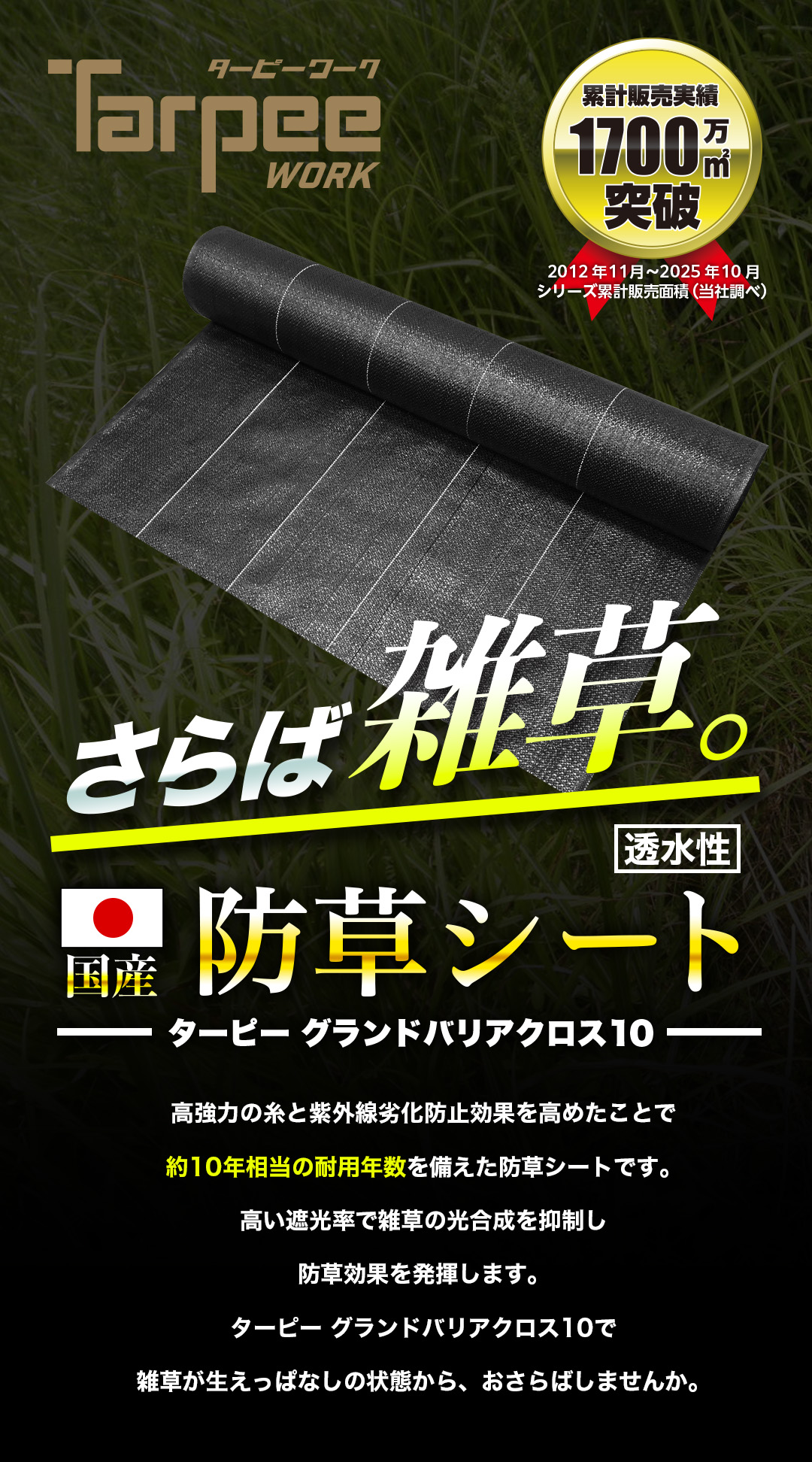 GBC10ファーストビュー