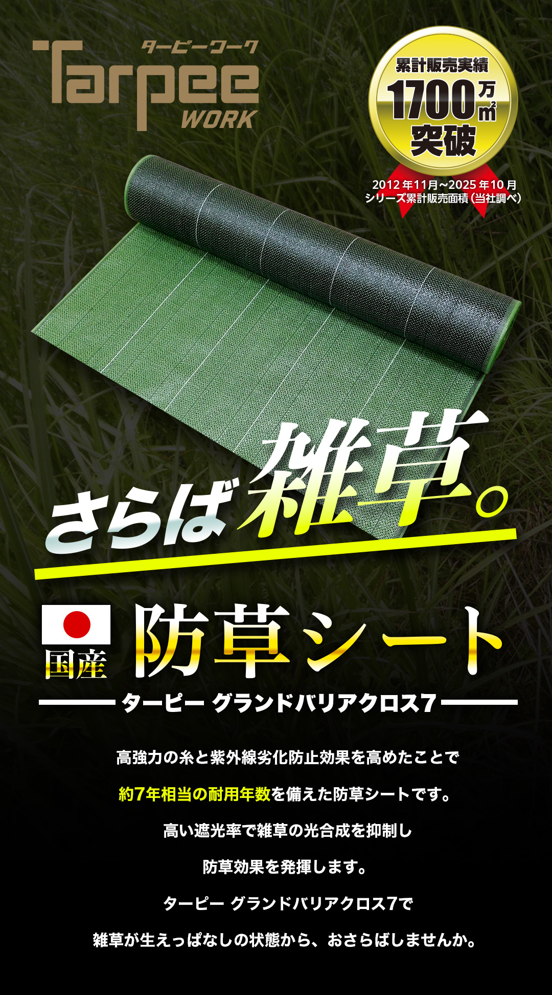 GBC7ファーストビュー