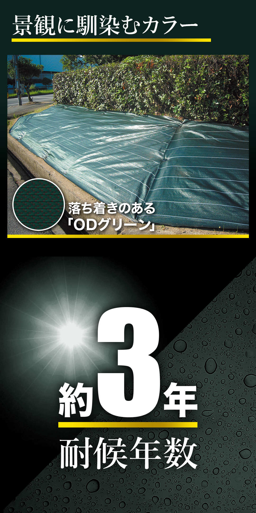 CBC3カラー画像