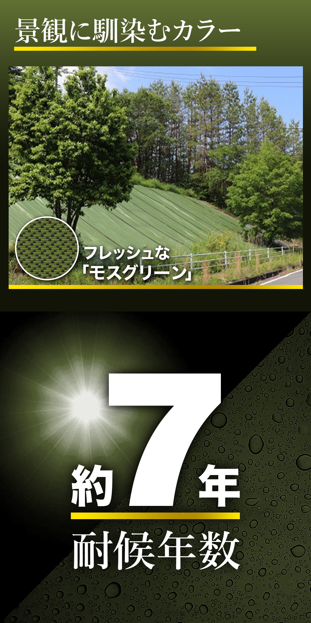 CBC7カラー画像