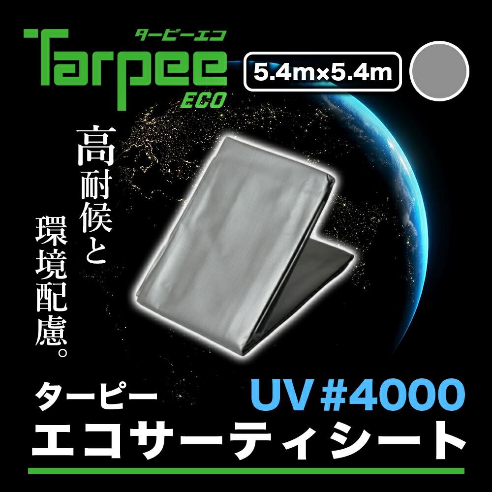 UVシート ターピー エコサーティシートUV #4000 5.4m×5.4m シルバー