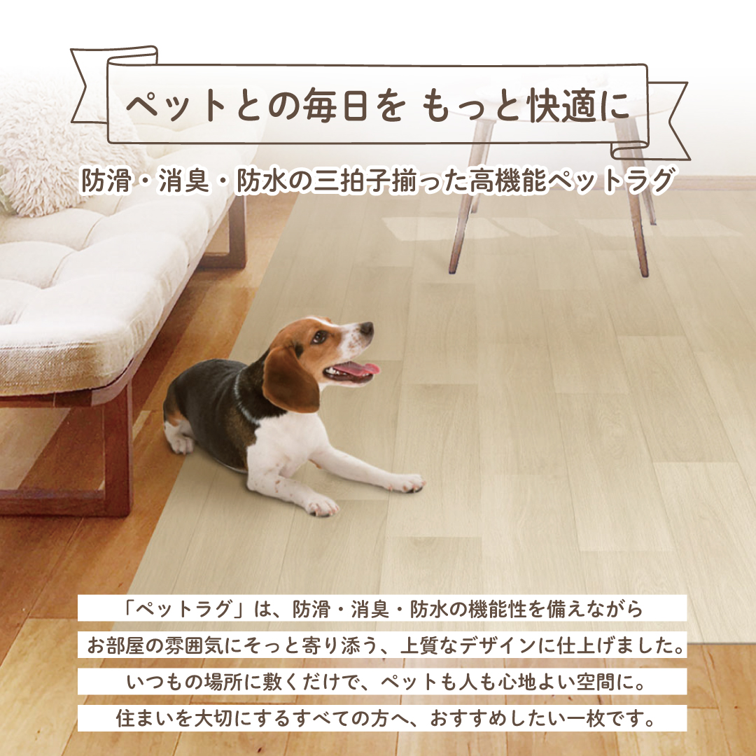 ペットラグのある暮らし