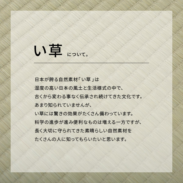 カーペット い草 8畳 8帖 370×370cm 畳の上に敷くもの 撥水 ござ
