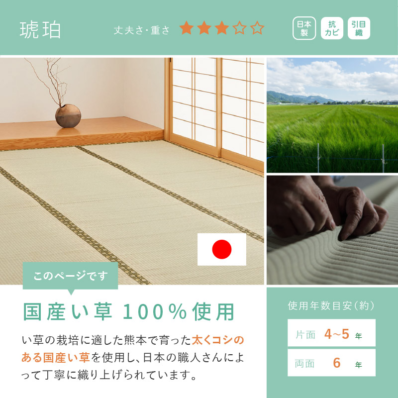 サイズオーダー 上敷き ござ ラグ カーペット 国産 4.5帖 本間 4畳半 4.5畳 日本製 畳 サイズ加工サイズカット 和風縁 選べる 琥珀 :  158002945-order : 四季物ひろば - 通販 - Yahoo!ショッピング