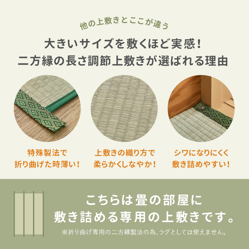 HAGiHARA（萩原） カーペット い草 10畳 10帖 364×455cm 畳の上に敷く