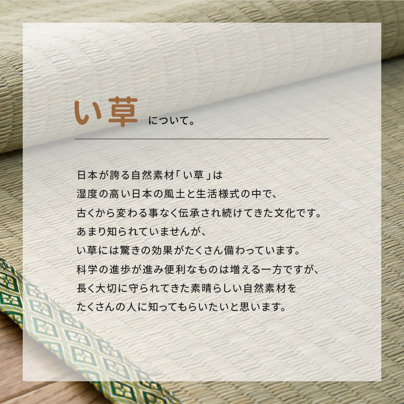 HAGiHARA（萩原） カーペット い草 10畳 10帖 364×455cm 畳の上に敷く