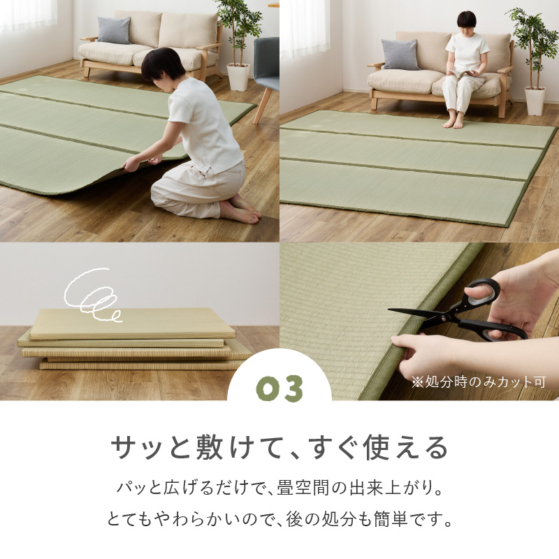 HAGiHARA（萩原） カーペット い草 6畳 6帖 255×340cm ウレタン入り