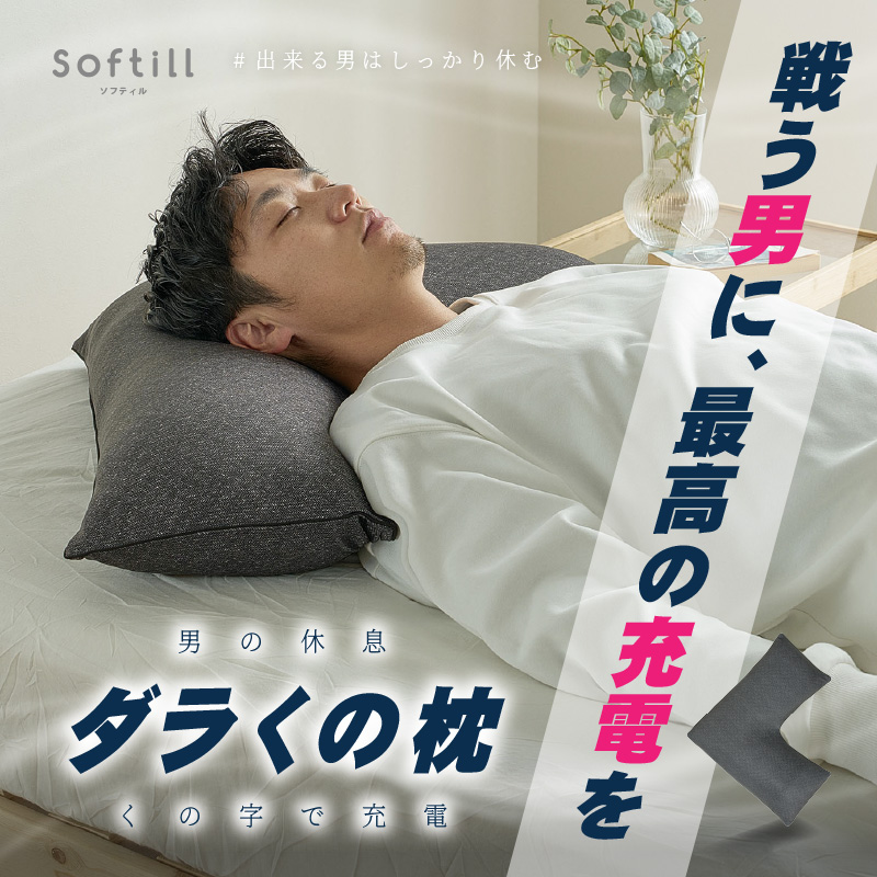 HAGiHARA（萩原） 枕 カバー付 洗える パイプ まくら ピロー