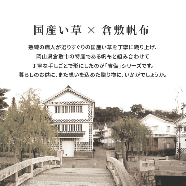 HAGiHARA い草 寝ござ 88×195cm たたみ 国産 倉敷帆布 シーツ
