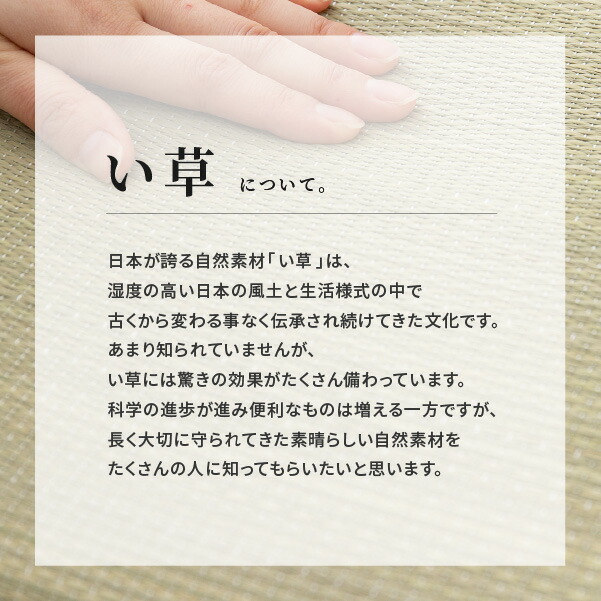い草 座布団 43×41cm たたみ 国産 日...の詳細画像3