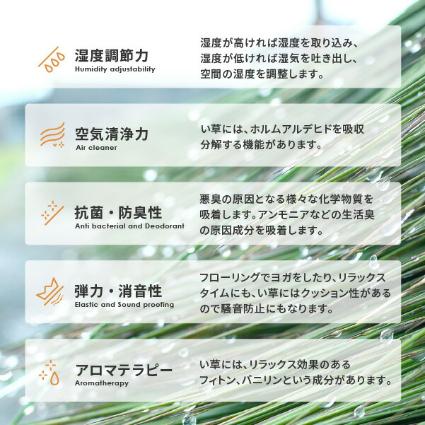 い草 座布団 43×41cm たたみ 国産 日...の詳細画像4