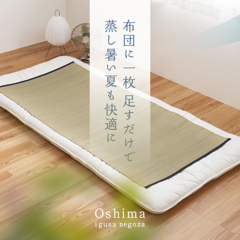 HAGiHARA（萩原） ラグ カーペット い草 1畳 80×170cm たたみ 寝ござ 