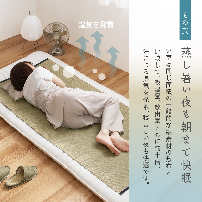 HAGiHARA（萩原） ラグ カーペット い草 1畳 80×170cm たたみ 寝ござ 