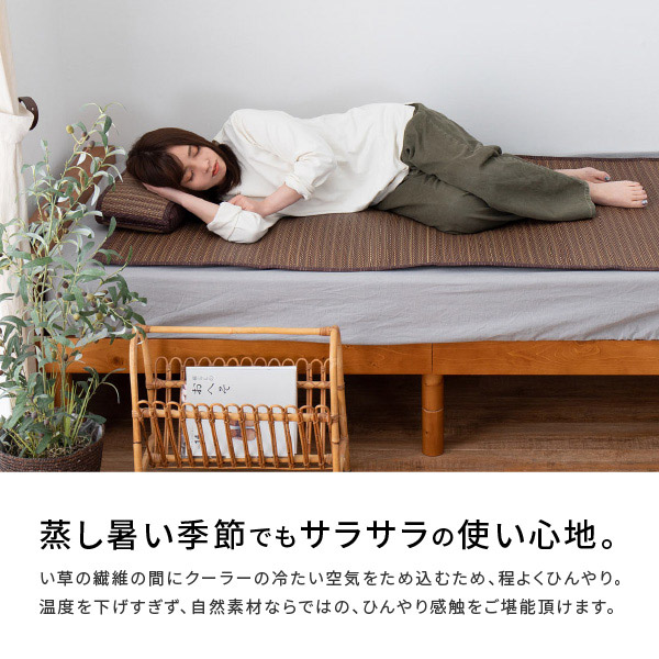 HAGiHARA（萩原） ラグ い草 ござ 1畳 1畳 江戸間 87×174cm たたみ 花