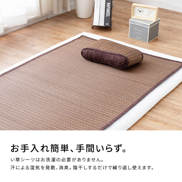 HAGiHARA（萩原） ラグ い草 ござ 1畳 87×174cm 畳 江戸間 ブラウン 花