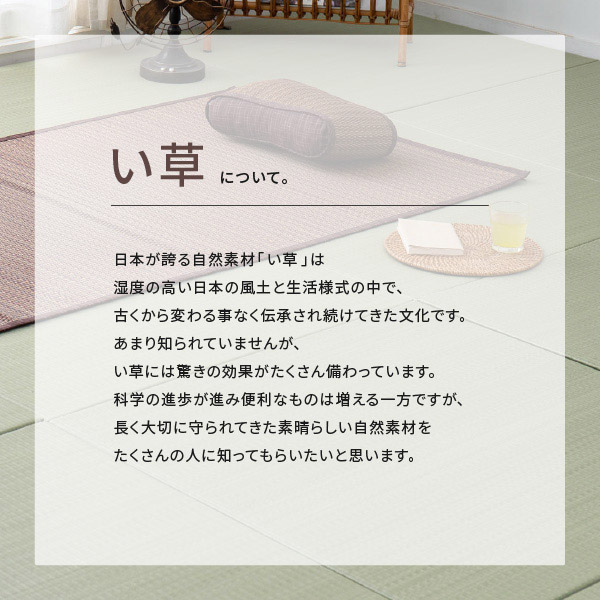 HAGiHARA（萩原） い草 低反発円座クッション 南風 約40丸cm たたみ