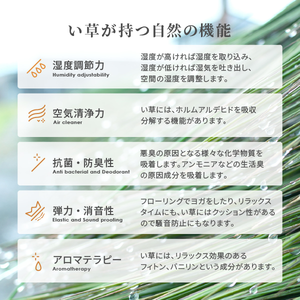 無料サンプルあり カーペット い草 8畳 8帖 348×352cm 畳の上に敷くもの 日本製 花ござ いぐさ 江戸間 関東間 田舎間 五八間 58間 上敷き 吉兆｜hagihara6011｜07