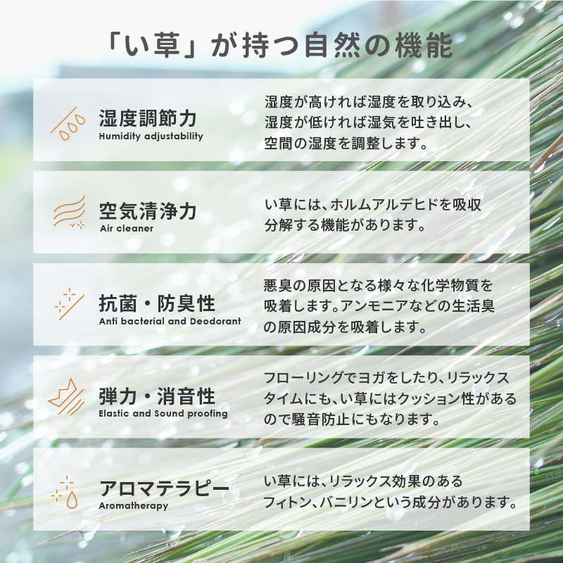 ラグ い草 6畳弱 240×320cm たたみ 折りたためる コンパクト 抗カビ 抗菌 防臭 撥水 はっ水 薄手 裏貼有 滑り止め ウレタンなし キハチ_10