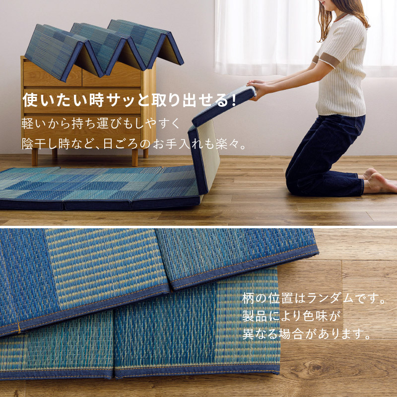 持つんだ熱い心 4枚セット ケース販売】GEX 金魚元気 金魚のフンを分解 ニオイを抑える