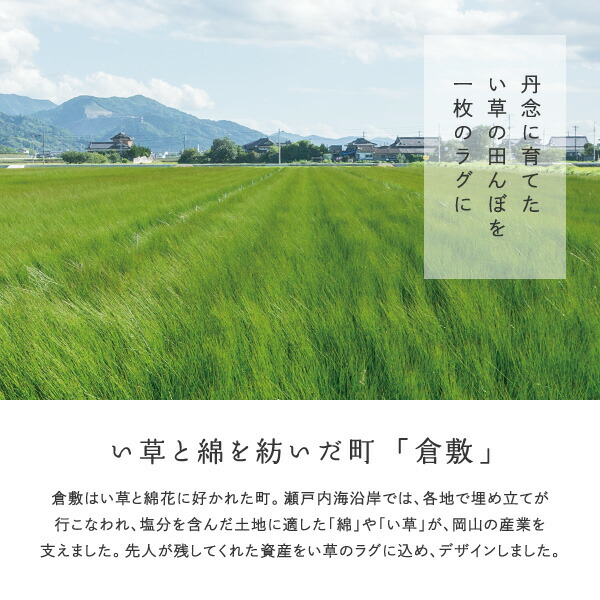 ラグ い草 国産 3畳 191×250cm たたみ 袋織 三重織 裏貼有 日本製 カーペット イ草 井草 おしゃれ 市松模様 滑り止め付き せとのと 倉ノ戸 くらのと｜hagihara6011｜06