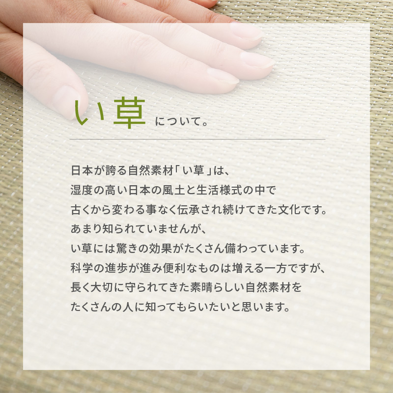 スリッパ い草 いぐさ イグサ 畳 たたみ 室...の詳細画像3