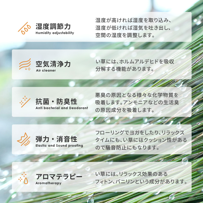 スリッパ い草 いぐさ イグサ 畳 たたみ 室...の詳細画像4