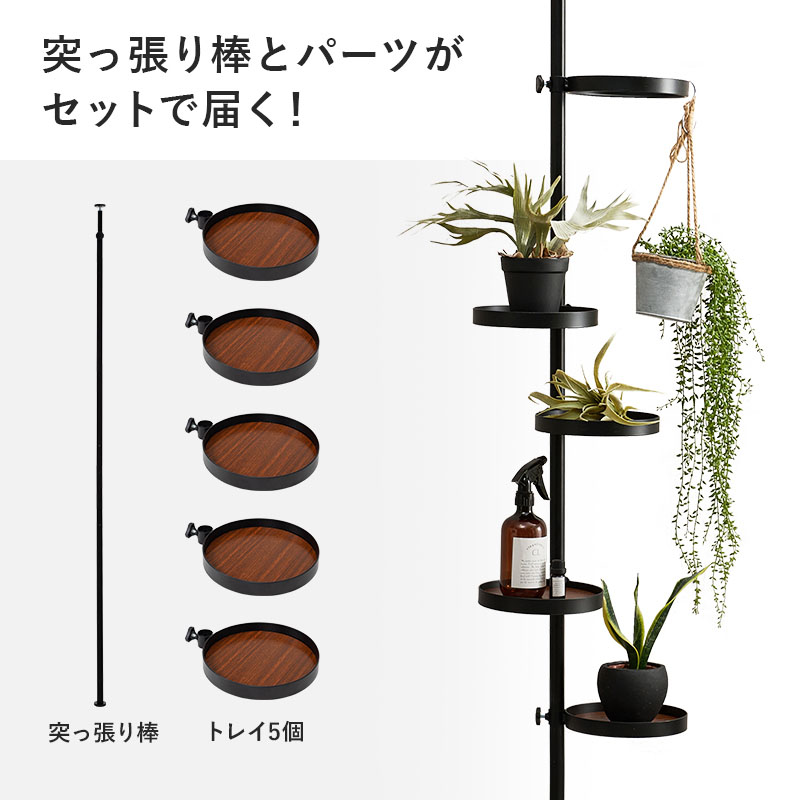 HAGiHARA（萩原） 突っ張りラック 丸型トレイ5枚 突っ張り棚 突っ張り