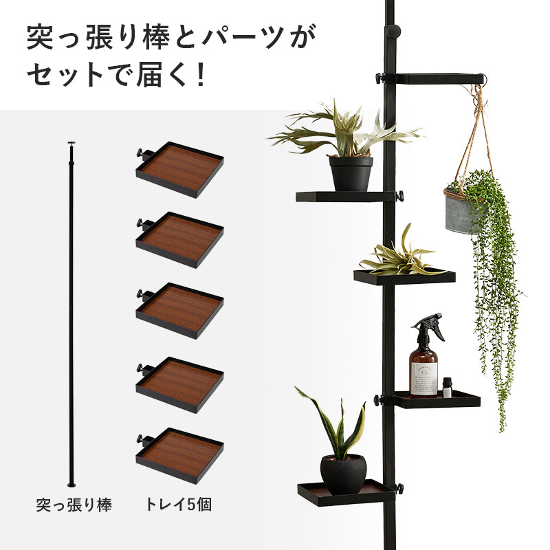 HAGiHARA（萩原） 突っ張りラック 角型トレイ5枚 突っ張り棚 突っ張り