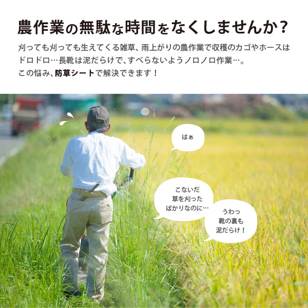防草シート 通常透水タイプ 幅2×長さ100m グリーン 家庭菜園 雑草 農業