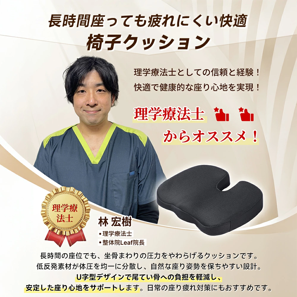 HAGOOGI(ハゴオギ)_クッション_yahooshoping_1