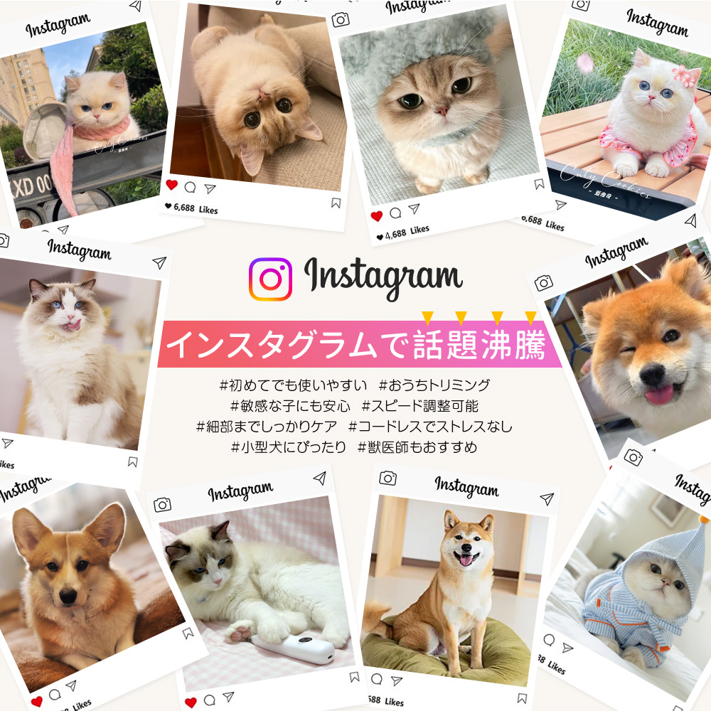 ペットバリカン 犬用バリカン コードレス 簡単 安全 ミニバリカン ペット シェーバー カット ペット用バリカン 猫用 犬用 肉球の毛 関連画像3