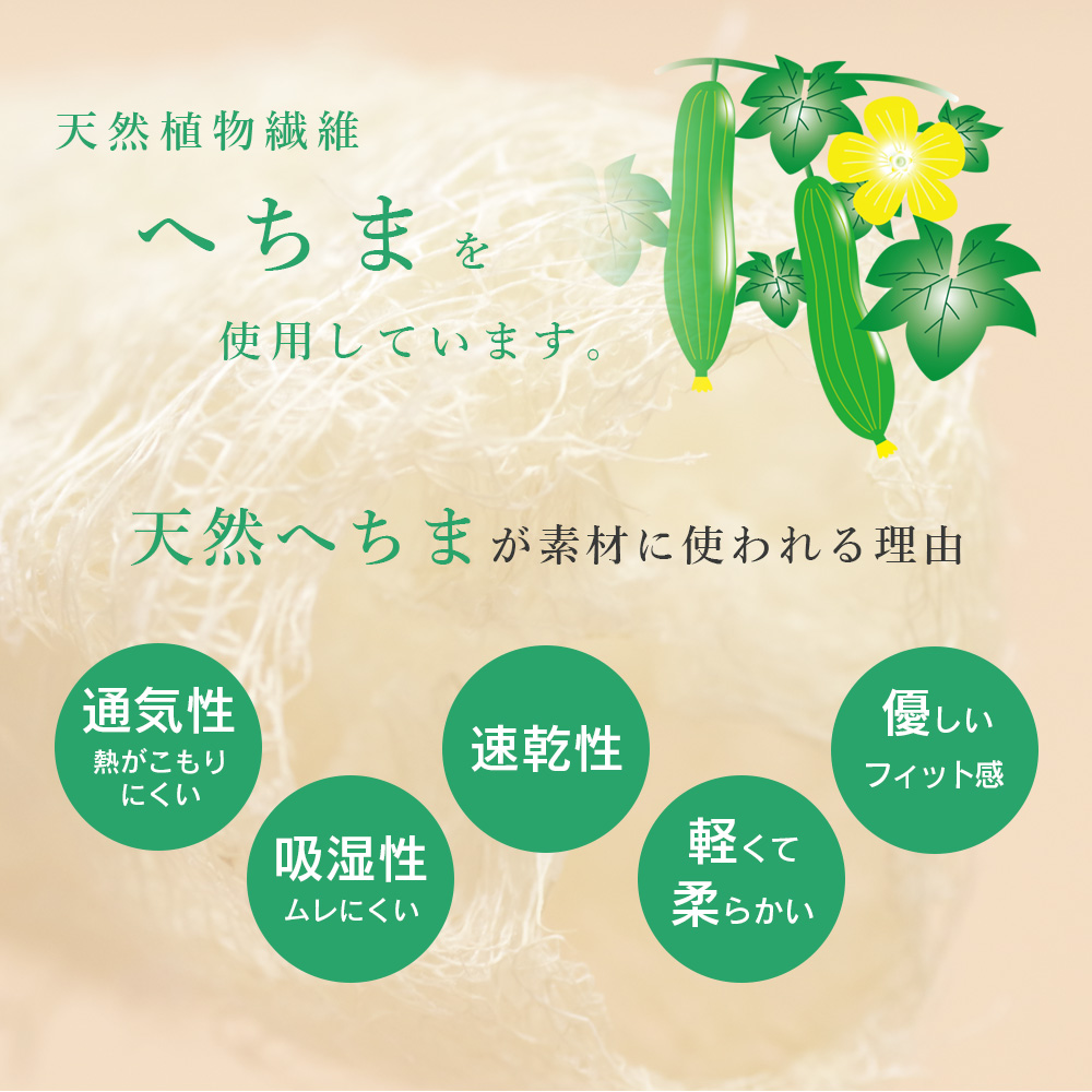 天然へちま 帯枕 前板 セット へちま 帯板 メッシュ 帯板ベルト
