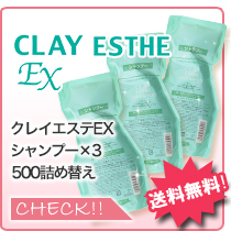 CLAY ESTHE（クレイエステ） モルトベーネ シャンプー EX 1000mL