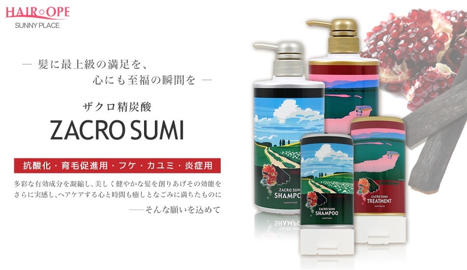サニープレイス ザクロ精炭酸 シャンプー 800mL + トリートメント 800g