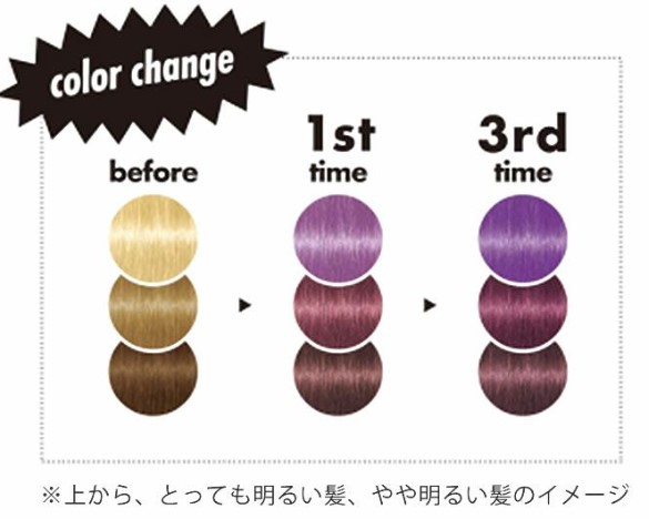 シュワルツコフ ハローパープル カラーシャンプー 310g 3個セット