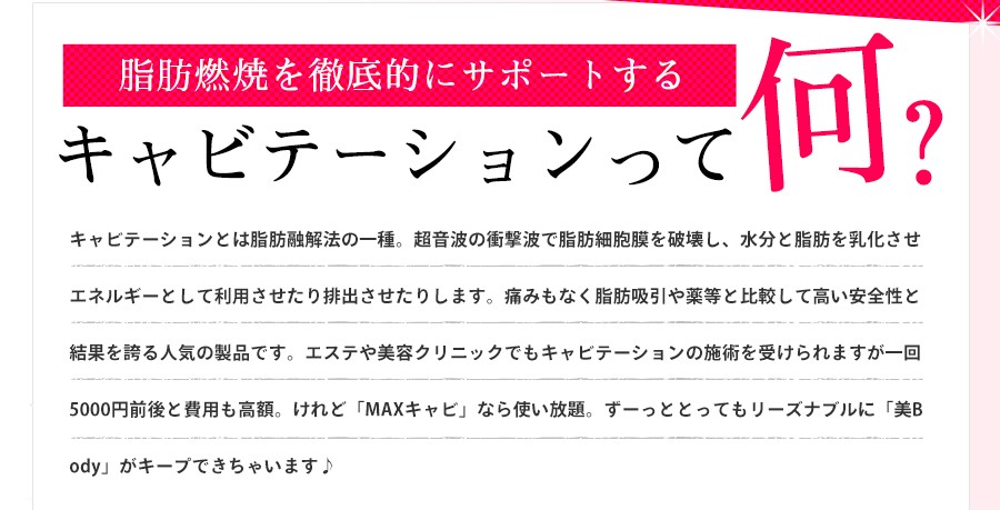 返品保証付 28khz(旧 25khz) キャビテーション mini-MAX 本格エステ