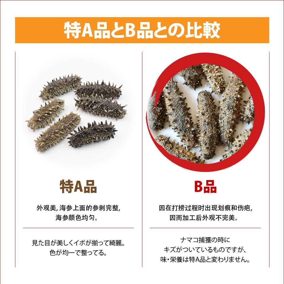 B級品 キズアリ S M L 食品 天然 乾燥なまこ 1kg 贈答品 混合サイズ 送料無料 海参王 乾燥なまこ 乾燥 なまこ ナマコ 乾燥 北海道産 北海道産乾燥なまこ