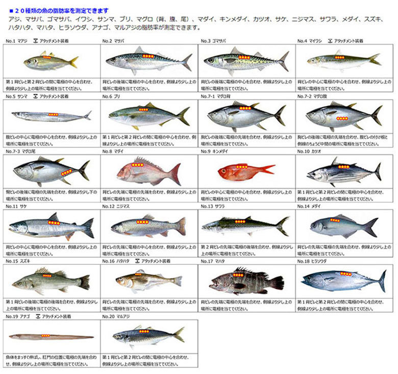 魚用品質状態判別装置 フィッシュアナライザ プロ DFA110 大和製衡 【送料無料】 : yd-1310 : はかりの三和屋 Yahoo!店 -  通販 - Yahoo!ショッピング