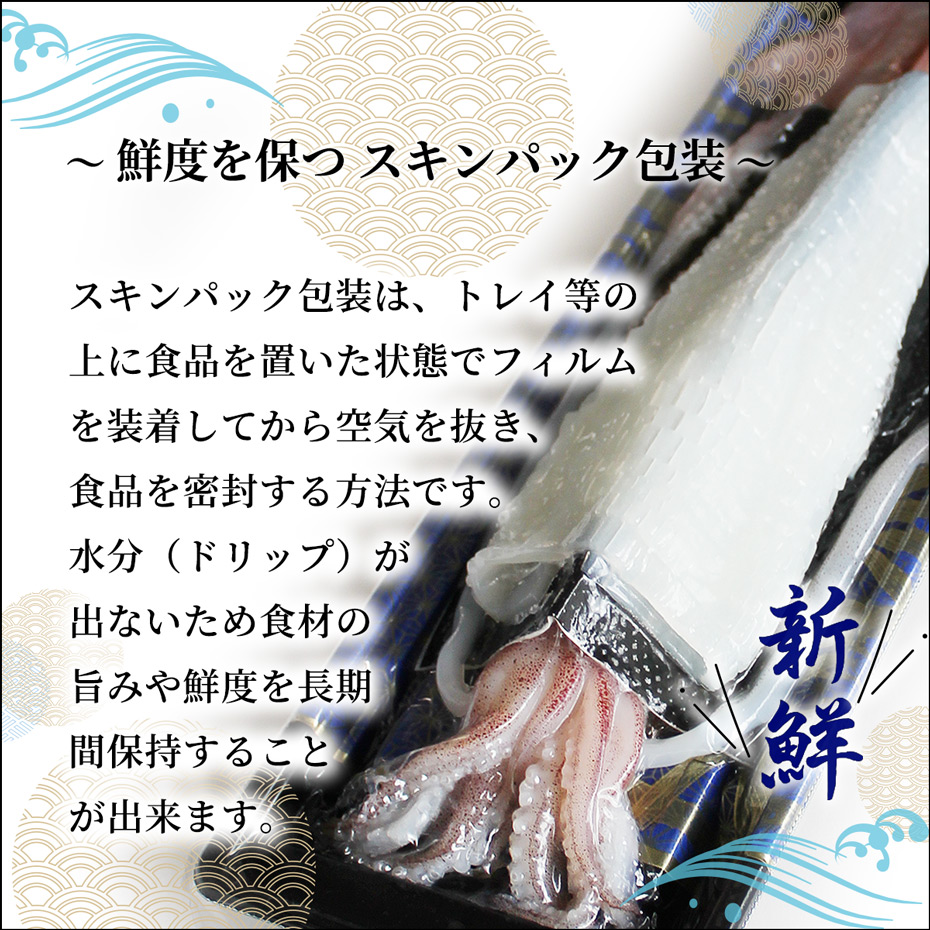 ヤリイカ姿造り