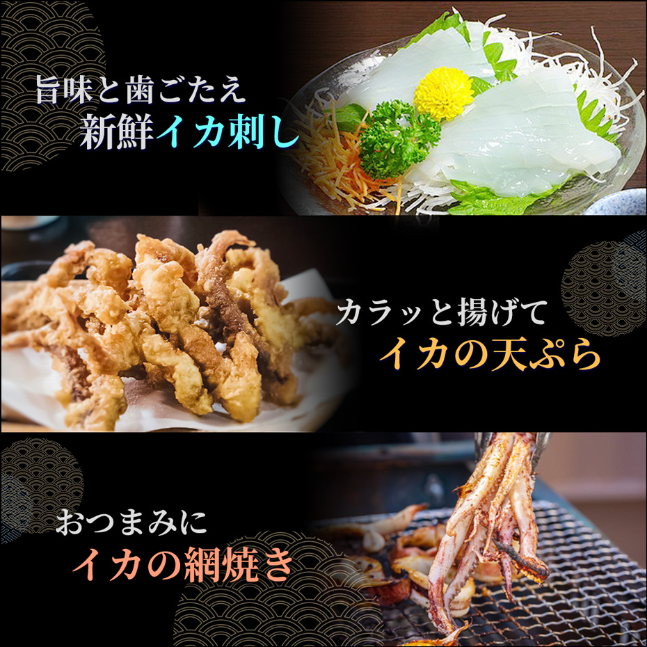 ヤリイカ姿造り